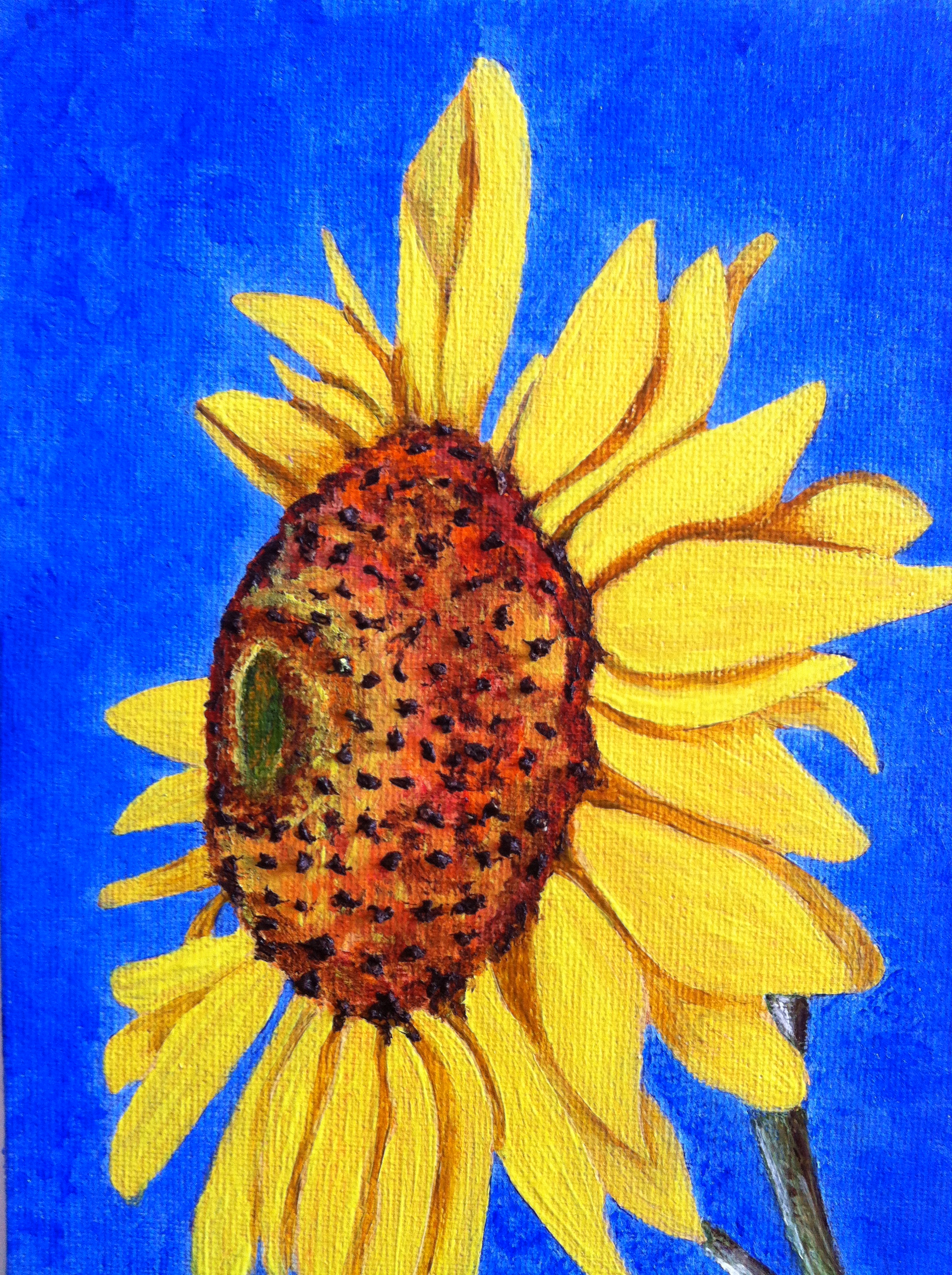 Sunflower - Greeting Card